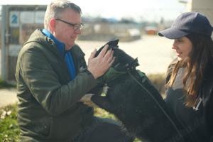 Pötyi, z.Zt. in Ungarn, zarte Seele sucht Körbchen Bild 7
