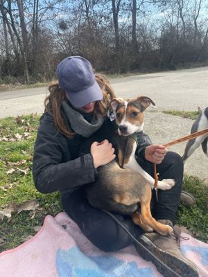 Lea, z.Zt. in Ungarn, sucht freies Körbchen Bild 8