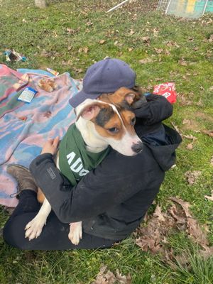 Lea, z.Zt. in Ungarn, sucht freies Körbchen Bild 9