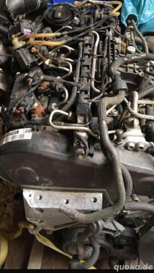 VW Polo 6r 1.6Tdi 90 Ps  Bild 5