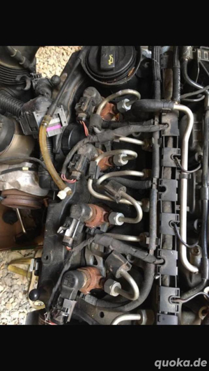 VW Polo 6r 1.6Tdi 90 Ps  Bild 4