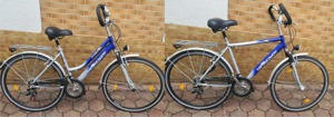  Herren und Damenrad 