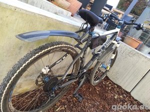 Mountainbike Bulls Bushtail XC Sport 26 
