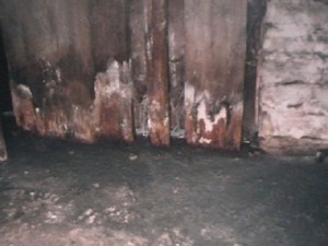 Bau - Gutachter Statiker hat morgen noch Zeit für Ihr Haus Wohnung