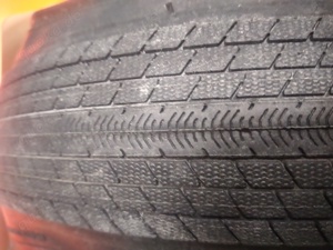 NEU Maxxis Torch 20x1.95   47-406 Exo Faltreifen