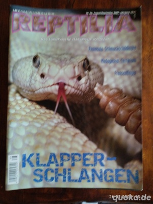 Ältere Reptilias, Rarität  Bild 3