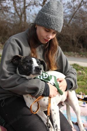 Luis, z.Zt. in Ungarn, sucht Garten zum Spielen