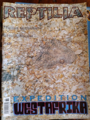 Ältere Reptilias  Bild 2