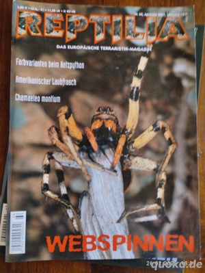 Ältere Reptilias  Bild 4