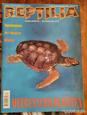 Ältere Reptilias  Bild 3