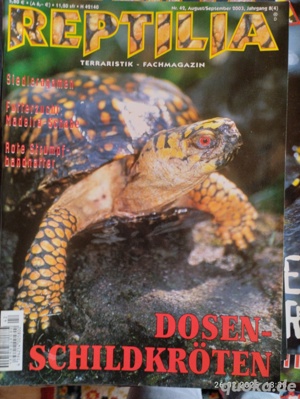 Ältere Reptilias  Bild 6