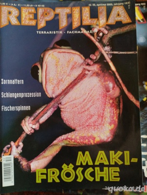 Ältere Reptilias  Bild 7