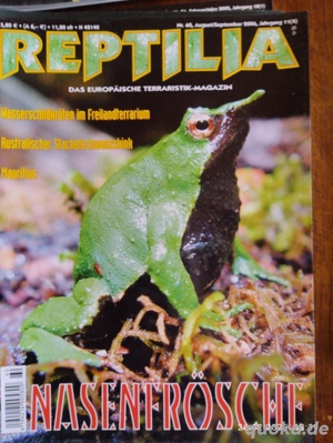 Ältere Reptilias  Bild 10