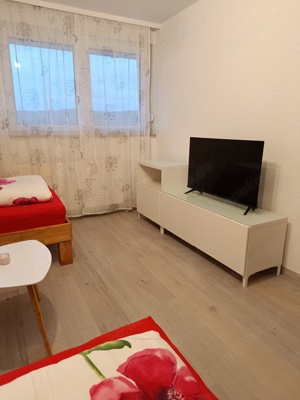 Monteur Einzimmer  Apartment Lahr Schwarzwald Bild 7