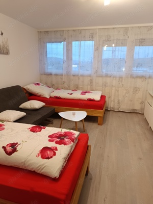 Monteur Einzimmer  Apartment Lahr Schwarzwald Bild 2