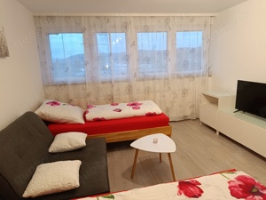 Monteur Einzimmer  Apartment Lahr Schwarzwald Bild 6