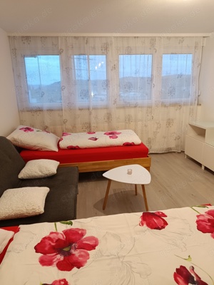 Monteur Einzimmer  Apartment Lahr Schwarzwald Bild 5