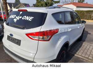 Ford Kuga Trend Bild 5