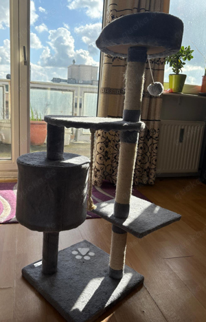 Kratzbaum, Katzenbaum