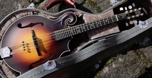 Weber 20 Years limited Bitterroot F-Style Bluegrass Mandoline Fernburst