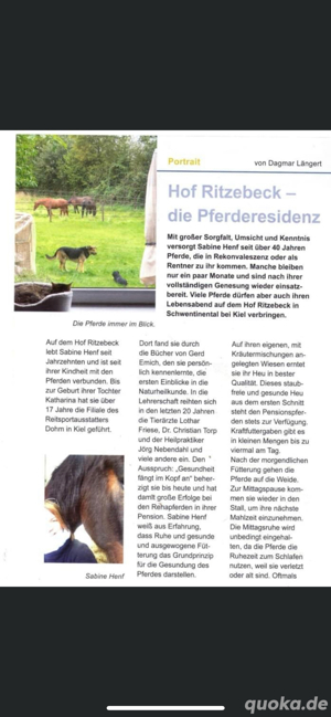 Box frei für wallach, schwentinental