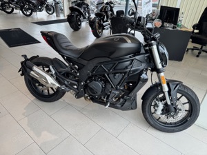 Benelli 502C Neufahrzeug (Euro 5 Ausnahmegenehmigung, Modelljahr 2024)
