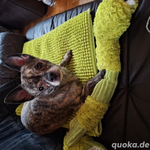 biete Zuhause 