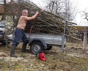 Erotik Sex Erotische Treffen  dafür Hilfe Haus, Garten  Gärtner ist 61 J. Bild 4