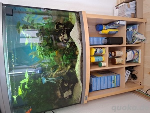 Aquarium inkl. Inhalt (Fische, Filter, Deko)