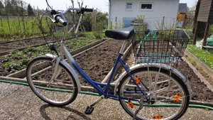 Fahrrad für Erwachsene