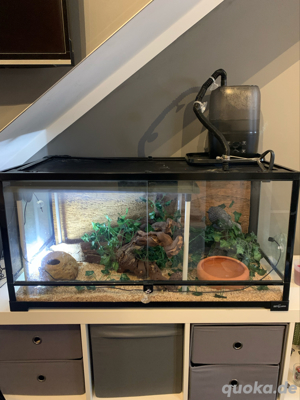 Repti Zoo Glas-Terrarium mit Zubehör 