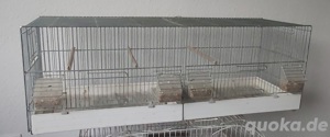 Vogelkäfig 