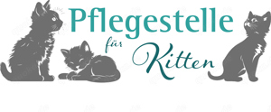Kitten in Not, Handaufzucht, Katzenbaby ohne Mama gefunden, was tun? Pflegestelle