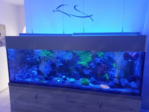 LED Meerwasserbeleuchtung 