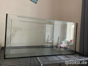 Terrarium für Kleintiere
