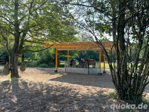Offenstall mit Paddocktrail