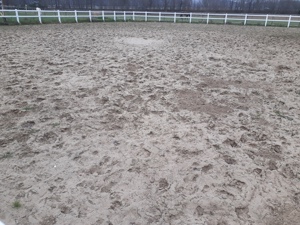 Offenstall Offenstallplatz  Bild 4
