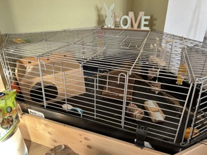 Käfig Kaninchen Meerschweinchen  Bild 3