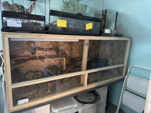 Terrarien und Zubehör