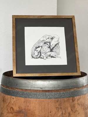 Bild Elefant hält Löwe, grau, Zeichnung, 40 cm x 40 cm, mit Rahmen