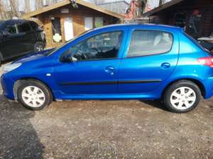Peugeot 206 + Basis Bild 2