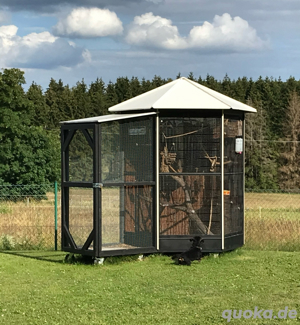 Voliere auf Rollen inkl. Schleuse