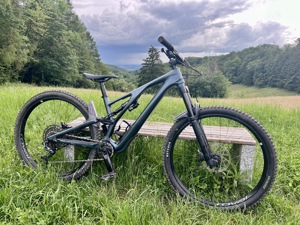 Specialized Stumpjumper EVO Expert 