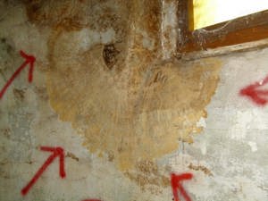 Schimmel Gutachten in München