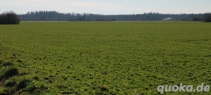 Suche Wohnung mit Hundehaltung in Baden-Württemberg oder Bayern 