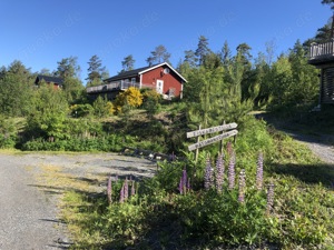 Ferienhaus in Südschweden, Sommerurlaub, Stuga, Haustiere erlaubt, inkl. 20 PS Aluboot, 6 Personen