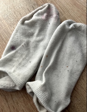 Schmutzige Socken beim Hausputz getragen  Bild 3