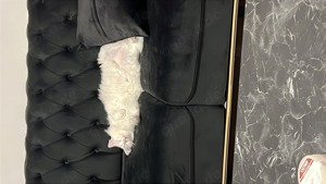 Ein Kater und eine Katze abzugeben