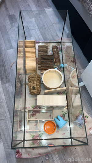 Hamster Terrarium 