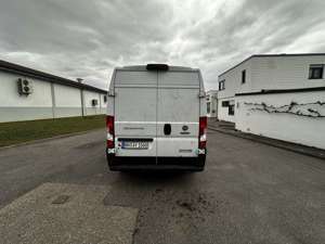Fiat Ducato Maxi Multicab L4H2 Bild 5